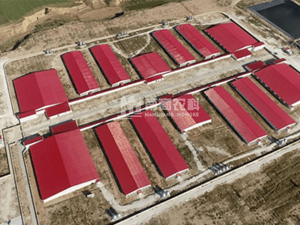 山西大同天镇原种猪繁育项目